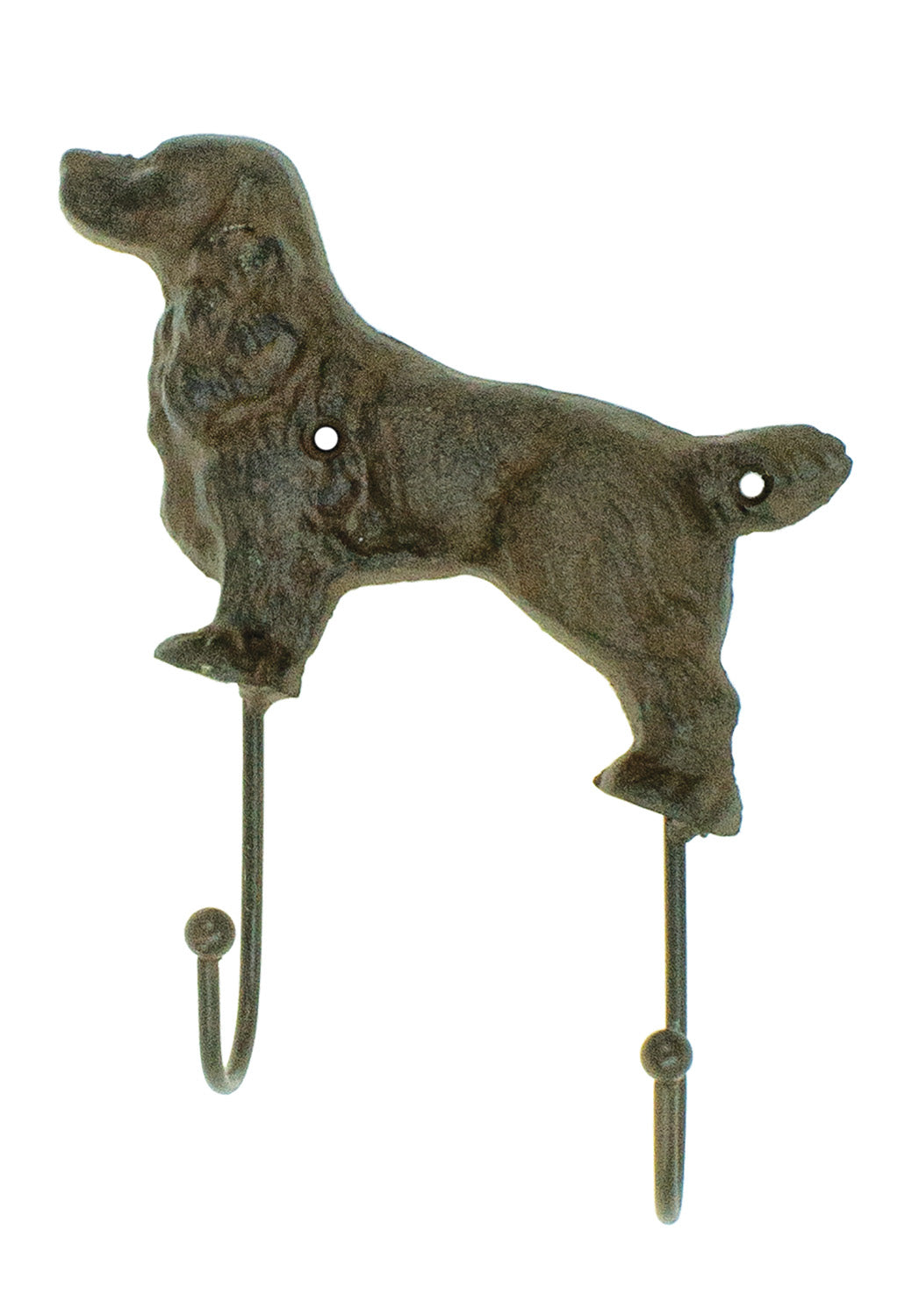 Mounted cast iron dog leash holder with two hooks